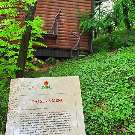 Apartamento Oaza Prirode, Brvnare Platan Vrdnik Exterior foto