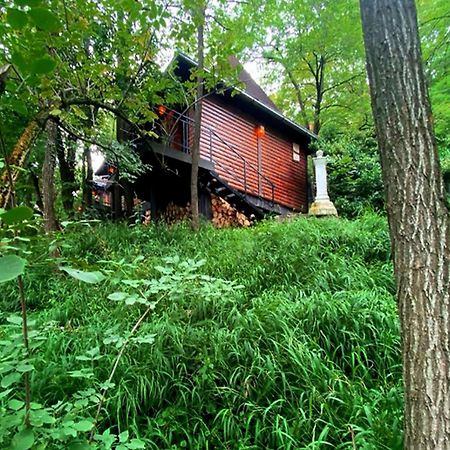 Apartamento Oaza Prirode, Brvnare Platan Vrdnik Exterior foto