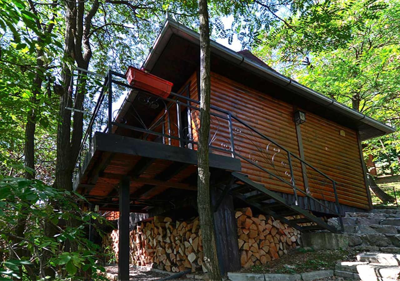 Apartamento Oaza Prirode, Brvnare Platan Vrdnik Exterior foto