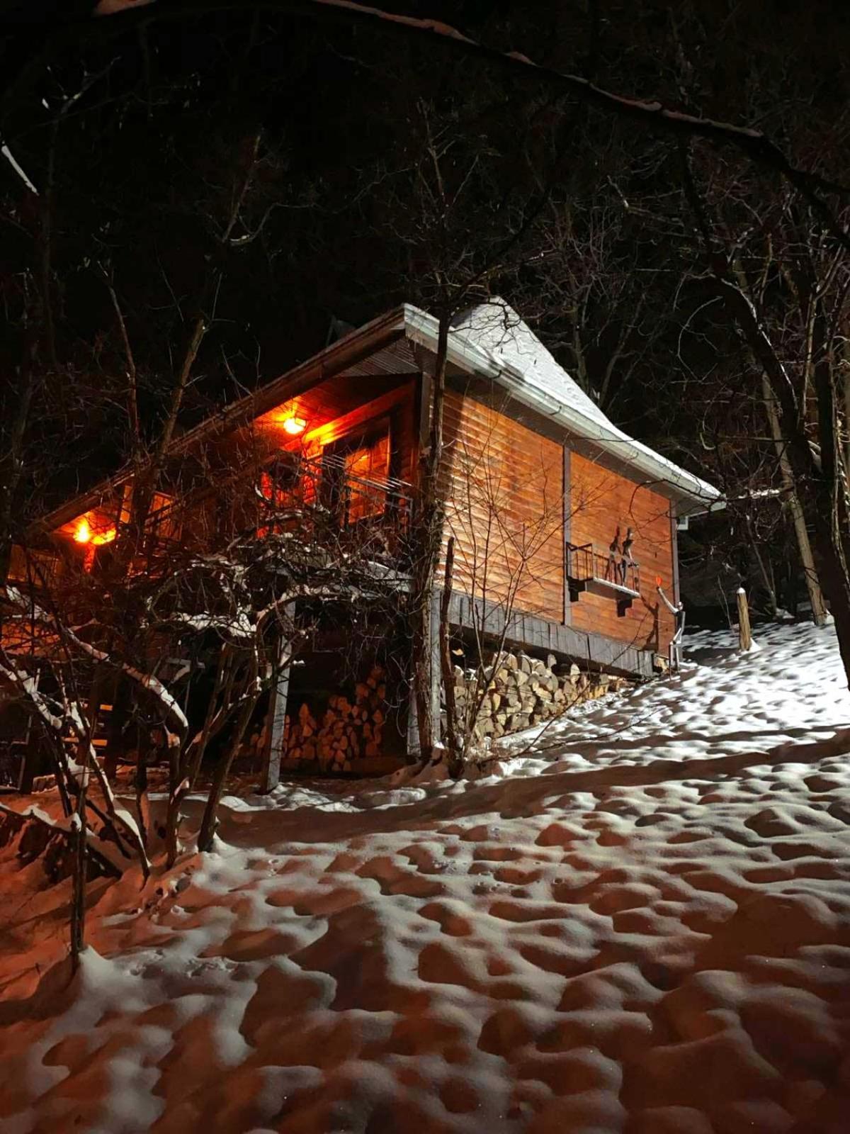 Apartamento Oaza Prirode, Brvnare Platan Vrdnik Exterior foto