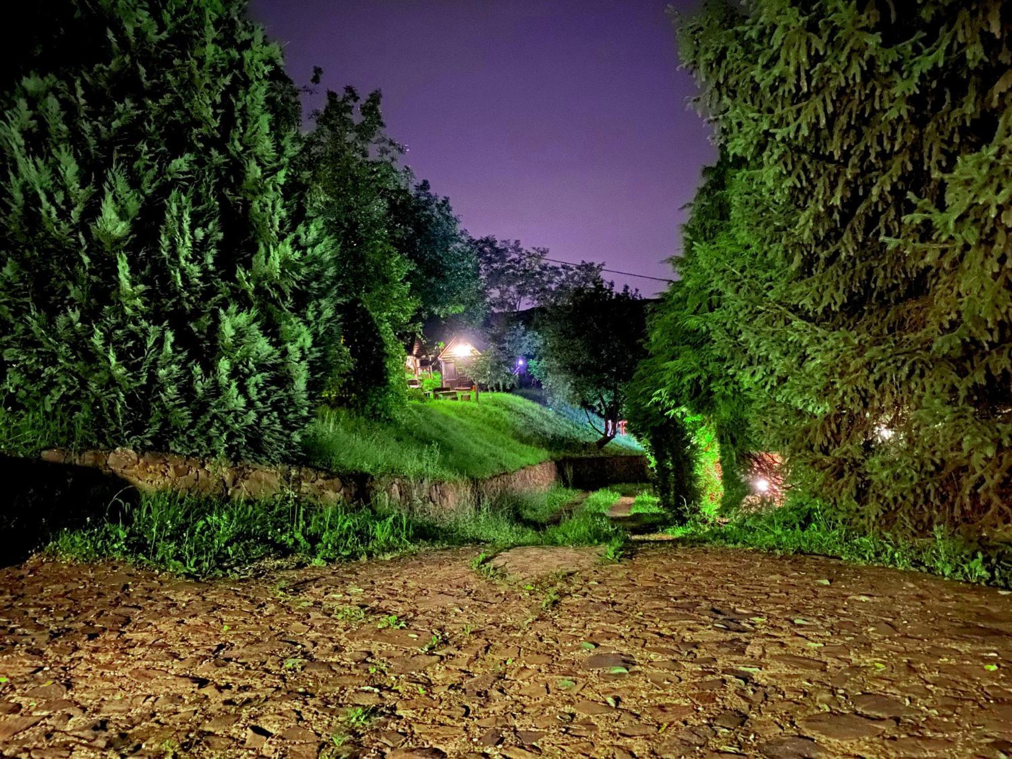 Apartamento Oaza Prirode, Brvnare Platan Vrdnik Exterior foto