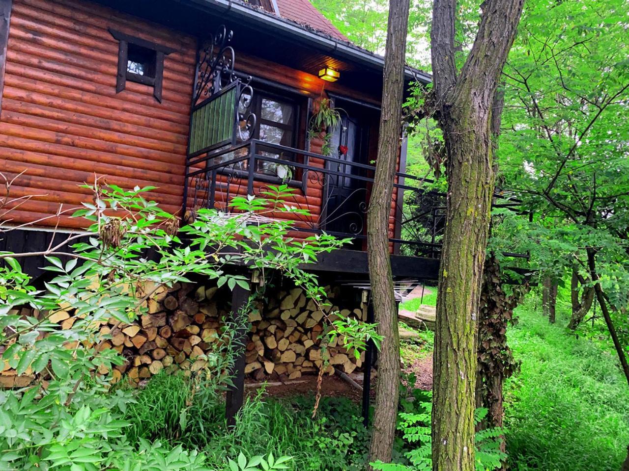 Apartamento Oaza Prirode, Brvnare Platan Vrdnik Exterior foto