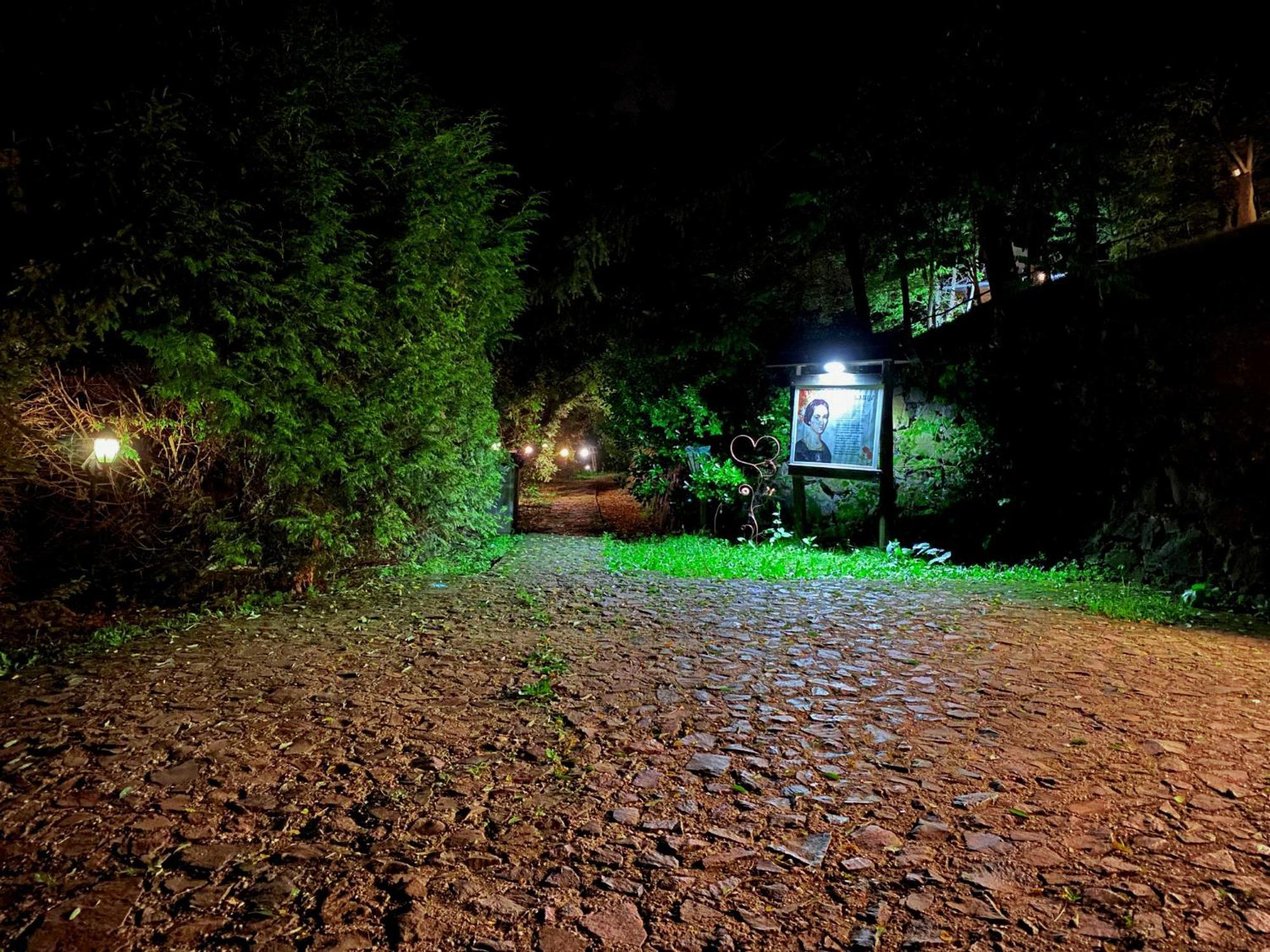 Apartamento Oaza Prirode, Brvnare Platan Vrdnik Exterior foto