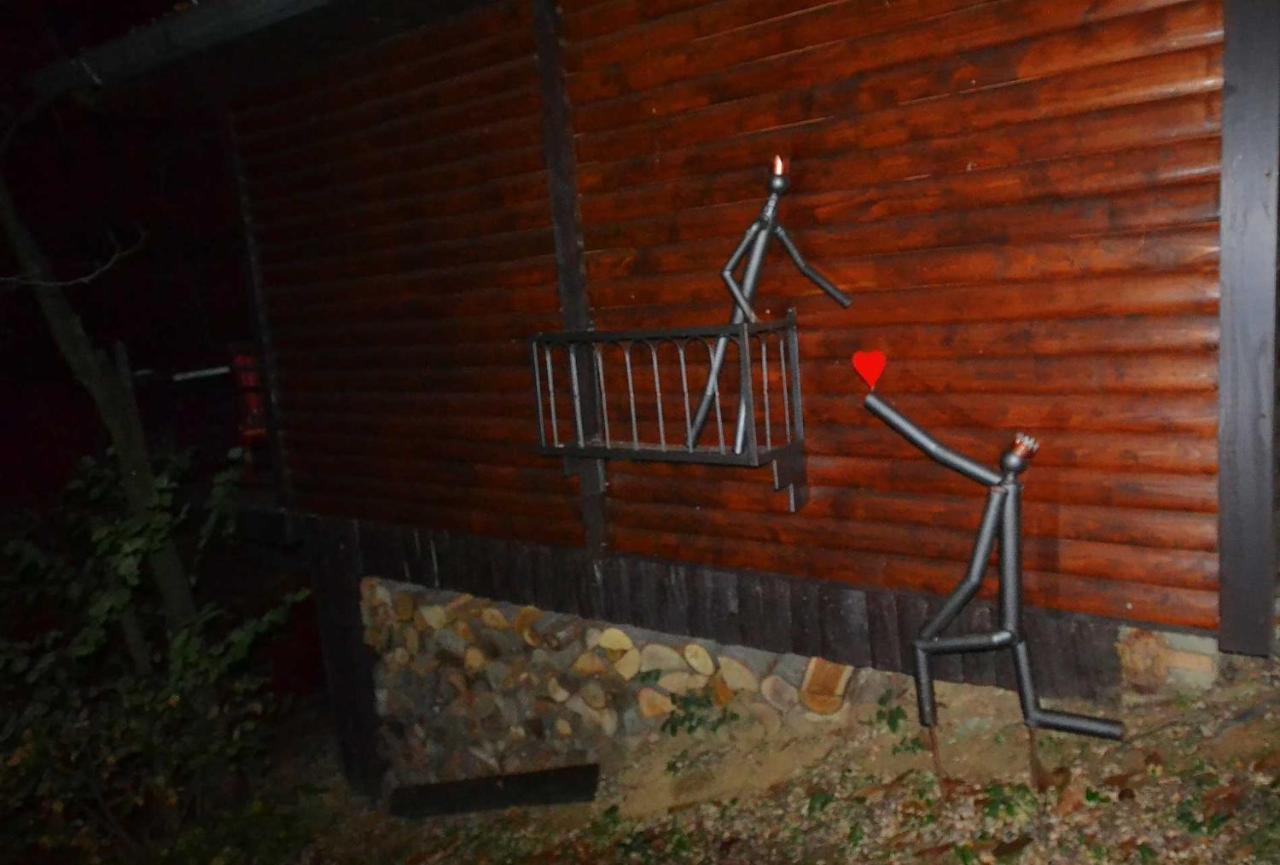 Apartamento Oaza Prirode, Brvnare Platan Vrdnik Exterior foto