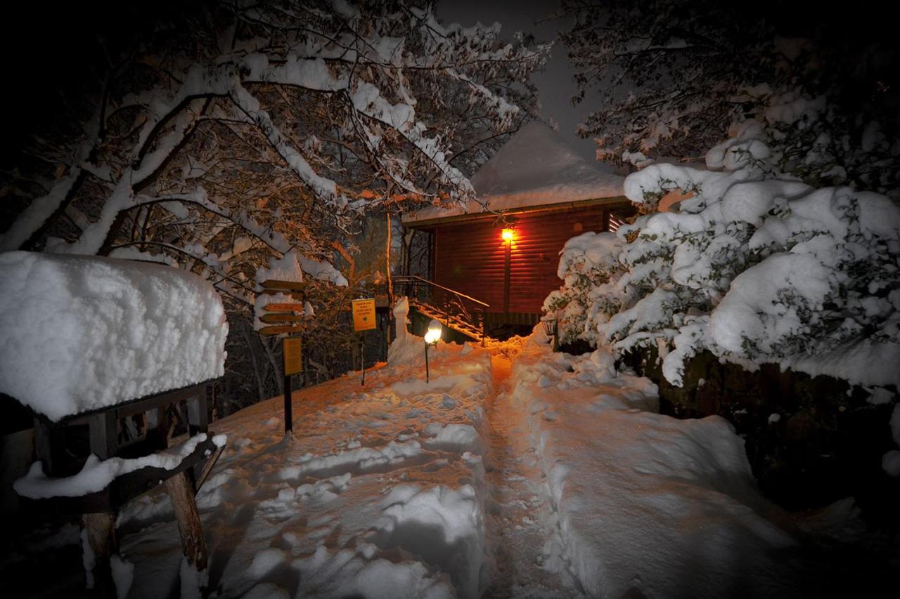 Apartamento Oaza Prirode, Brvnare Platan Vrdnik Exterior foto