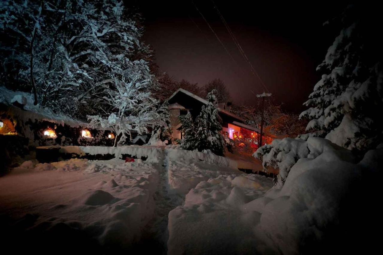 Apartamento Oaza Prirode, Brvnare Platan Vrdnik Exterior foto